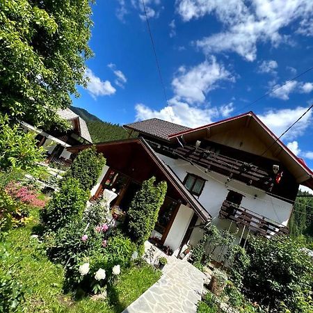Pensiunea Agroturistica Bradet Brosteni Exterior foto