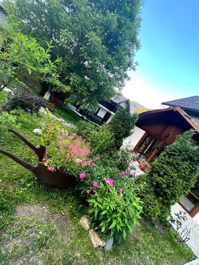 Pensiunea Agroturistica Bradet Brosteni Exterior foto