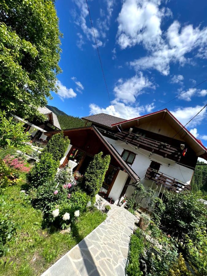 Pensiunea Agroturistica Bradet Brosteni Exterior foto