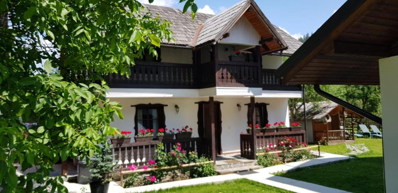 Pensiunea Agroturistica Bradet Brosteni Exterior foto