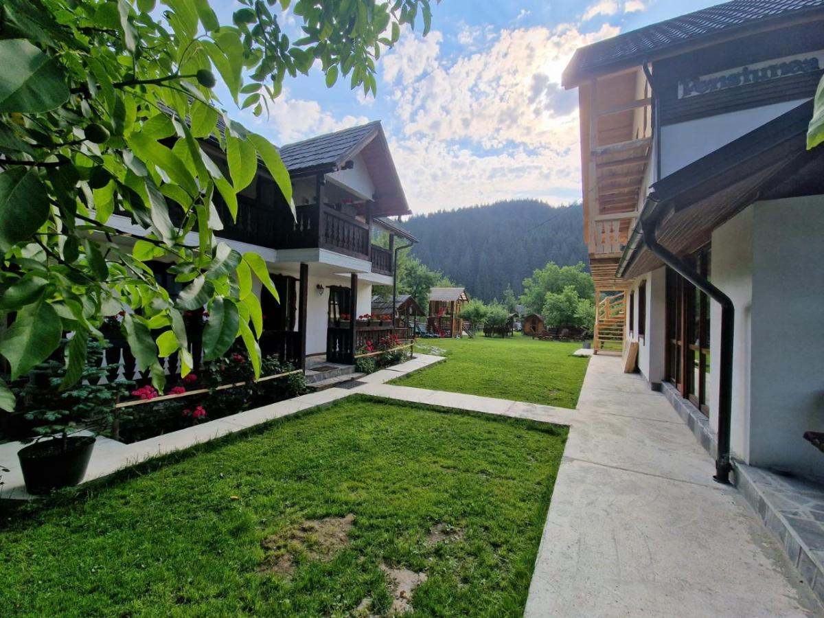 Pensiunea Agroturistica Bradet Brosteni Exterior foto