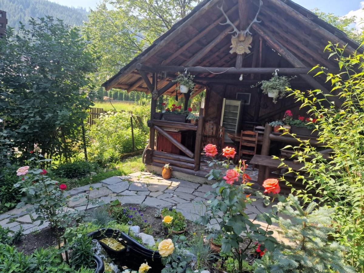 Pensiunea Agroturistica Bradet Brosteni Exterior foto