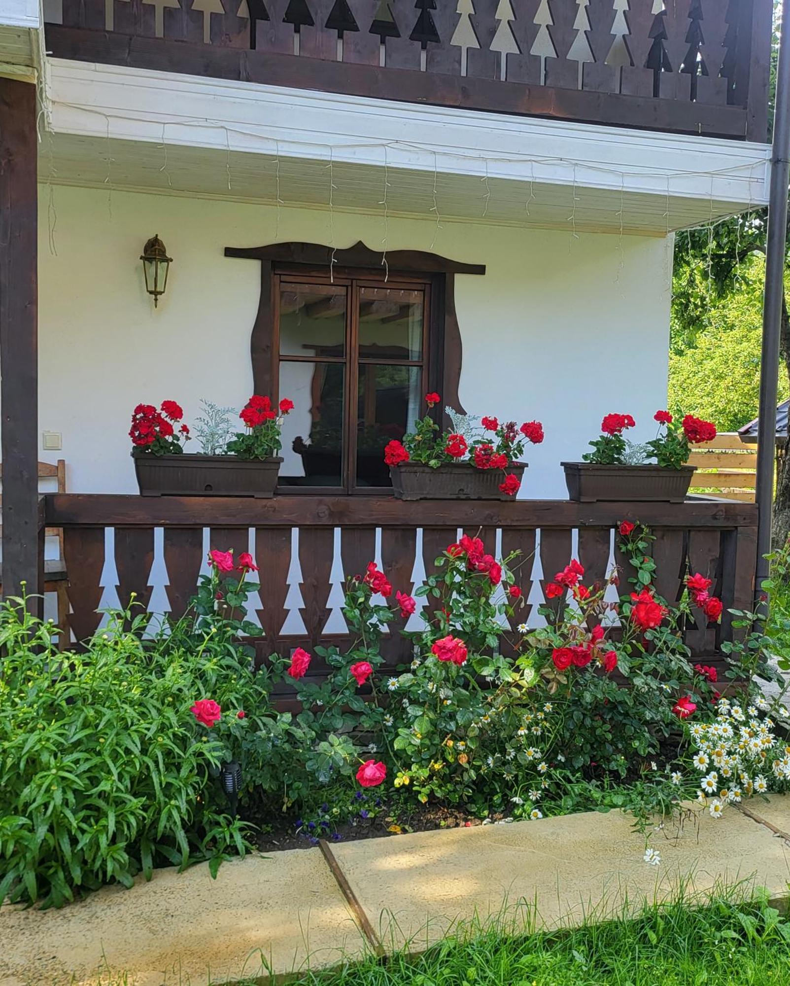 Pensiunea Agroturistica Bradet Brosteni Exterior foto