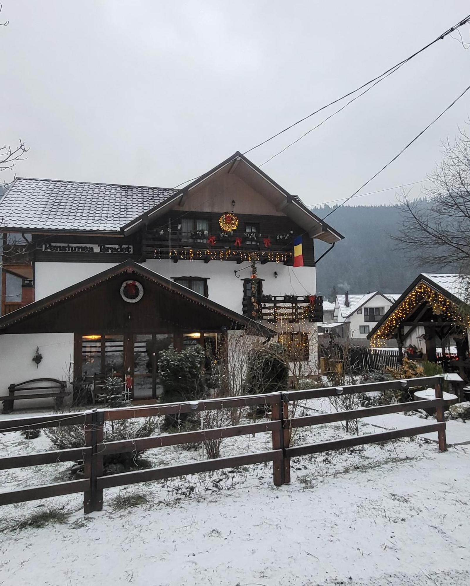 Pensiunea Agroturistica Bradet Brosteni Exterior foto